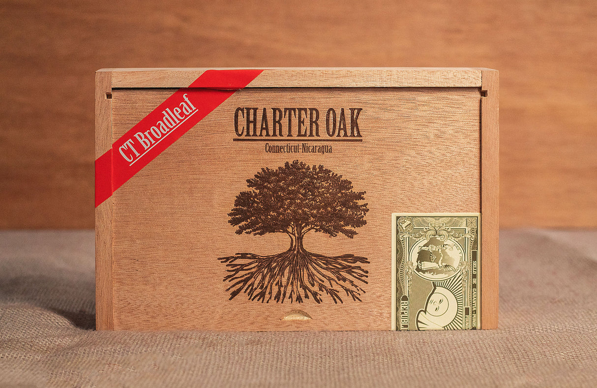 Foundation Charter Oak Connecticut Broadleaf