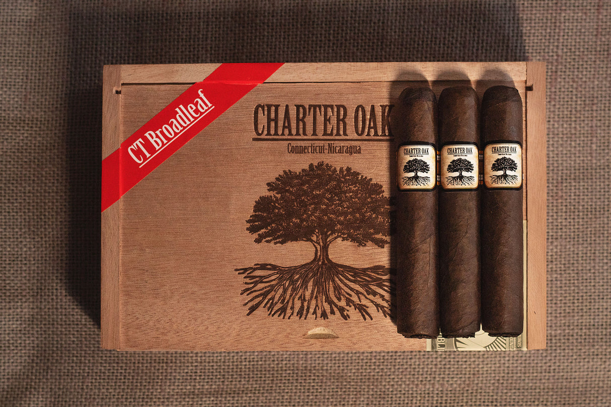 Foundation Charter Oak Connecticut Broadleaf