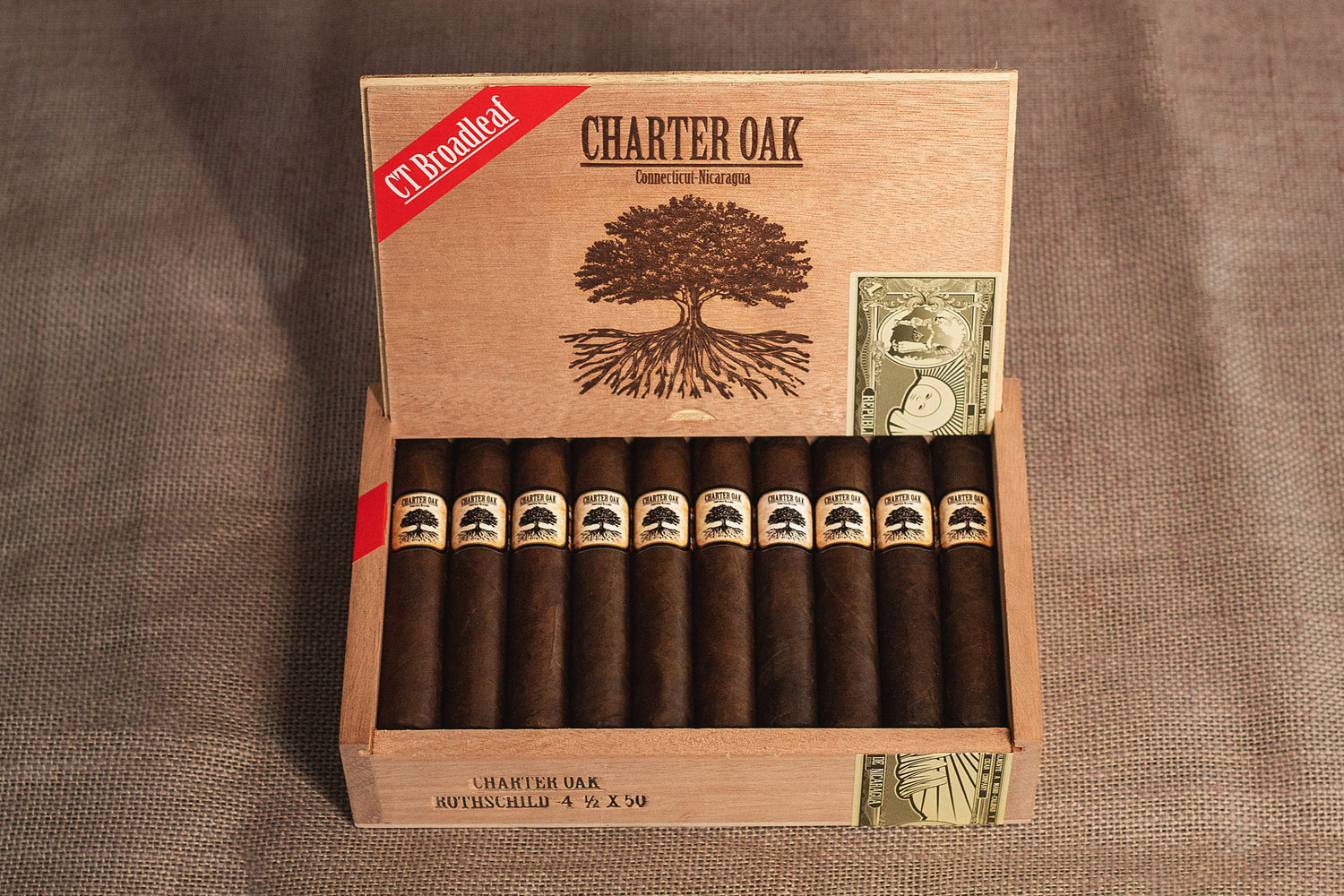 Foundation Charter Oak Connecticut Broadleaf