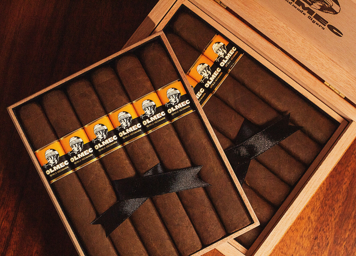 Foundation Olmec Maduro and Claro