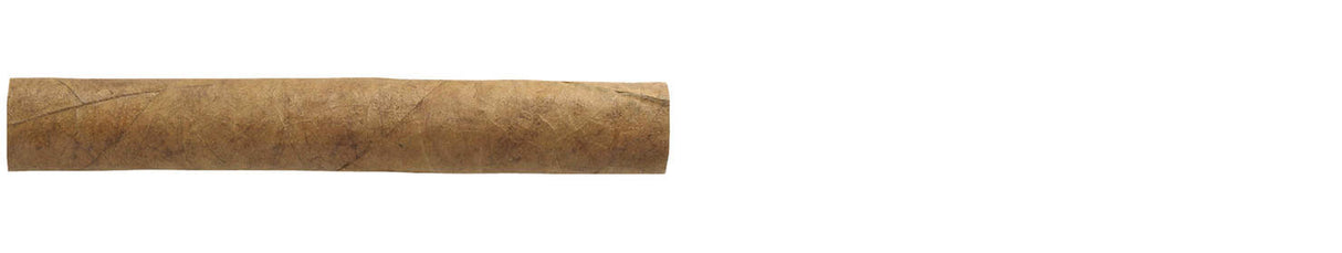 Villiger Export Maduro