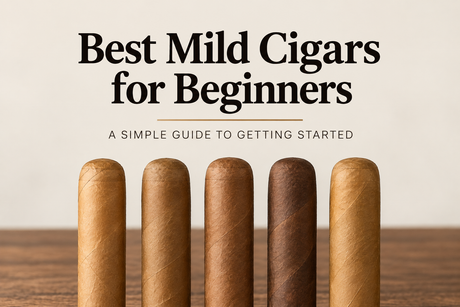 Best mild cigars for beginners