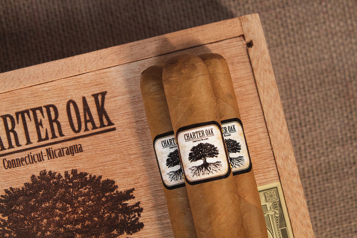 Foundation Charter Oak Connecticut Shade