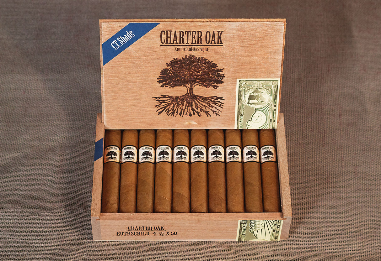 Foundation Charter Oak Connecticut Shade