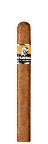 Foundation Olmec Maduro and Claro