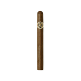 AVO Classic