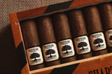 Foundation Charter Oak Habano