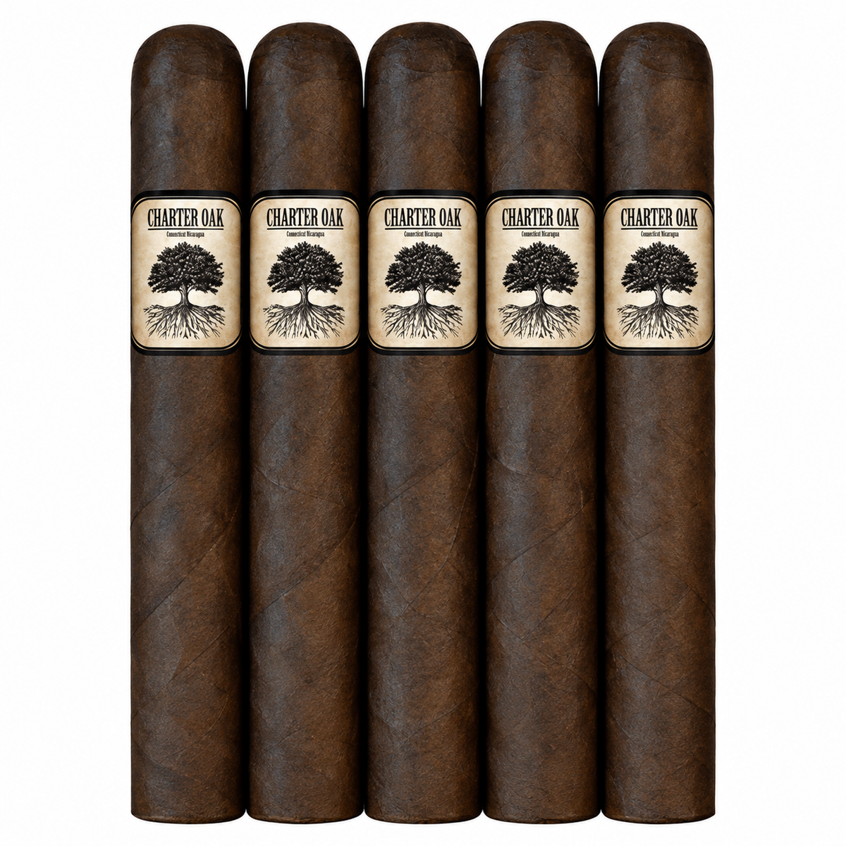Foundation Charter Oak 5CT Sampler