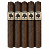 Foundation Charter Oak 5CT Sampler