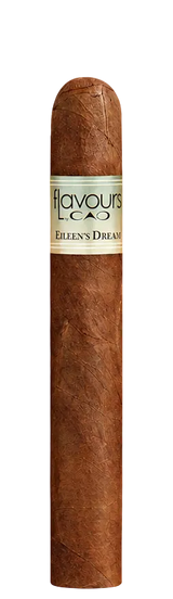 CAO Eileen's Dream