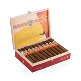 AVO Syncro Nicaragua Fogata