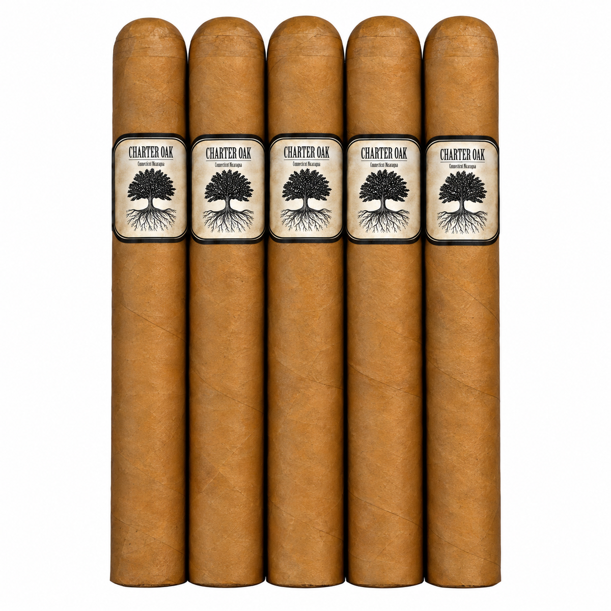 Foundation Charter Oak 5CT Sampler
