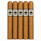 Foundation Charter Oak 5CT Sampler