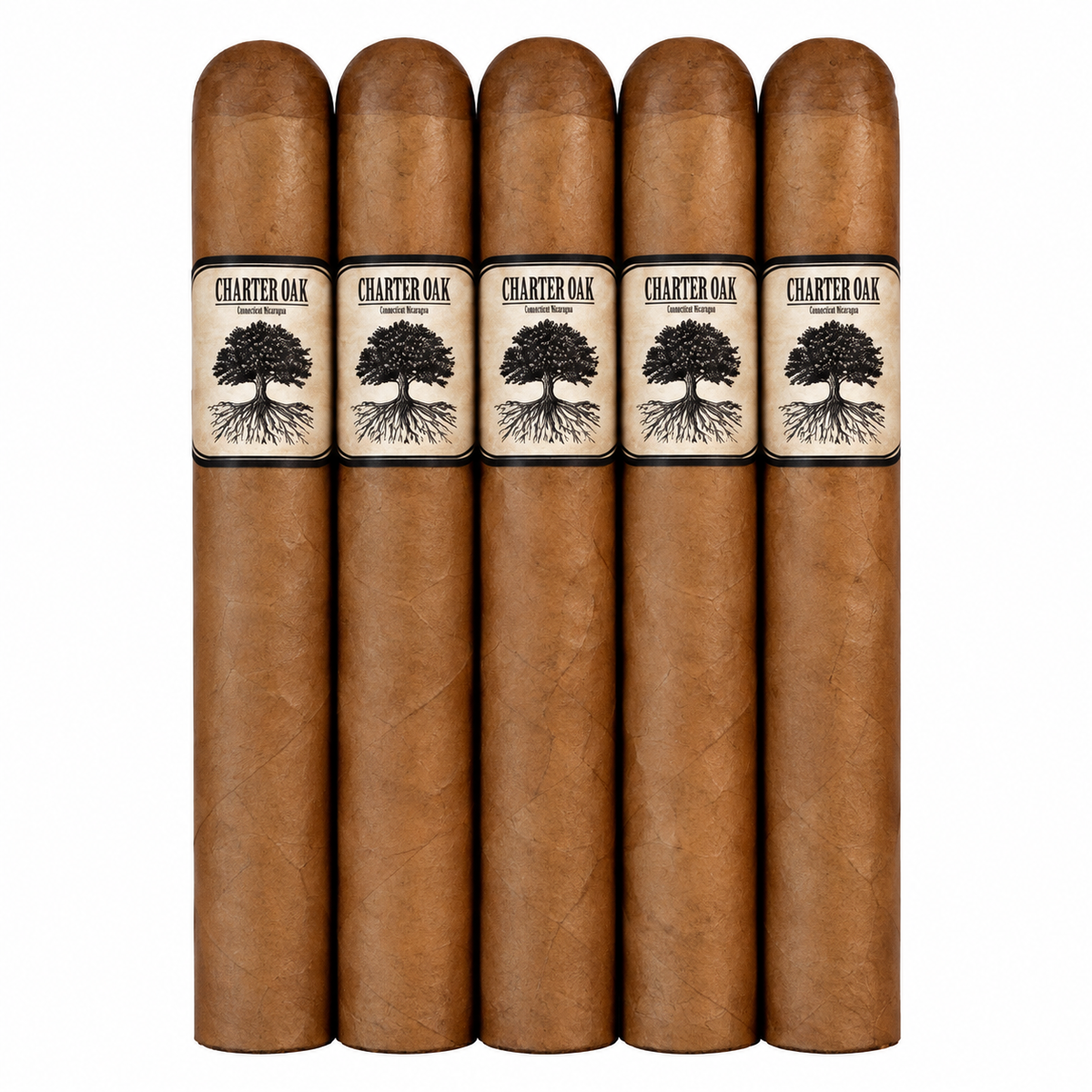 Foundation Charter Oak 5CT Sampler