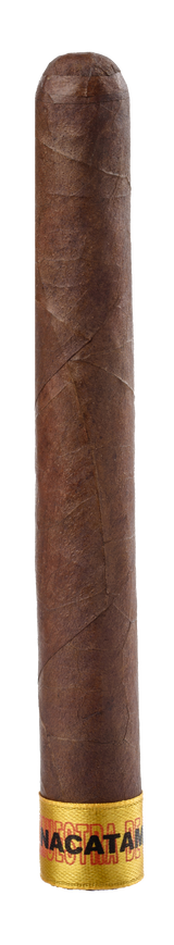 Dunbarton Muestra de Saka Nacatamale