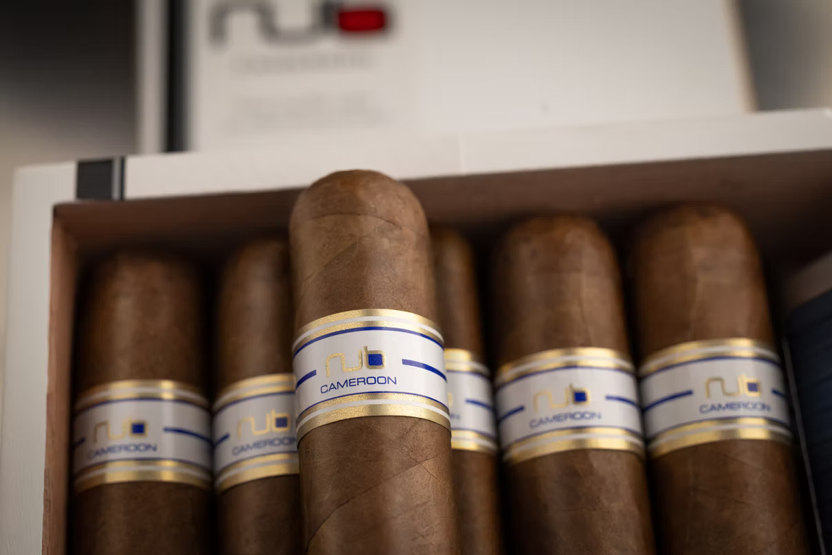 Nub Cameroon by Oliva