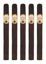Oliva Serie G 5CT Sampler
